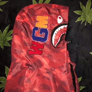 A bathing ape windbreaker
